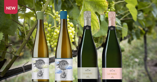 GEOGRAPHIC WINES