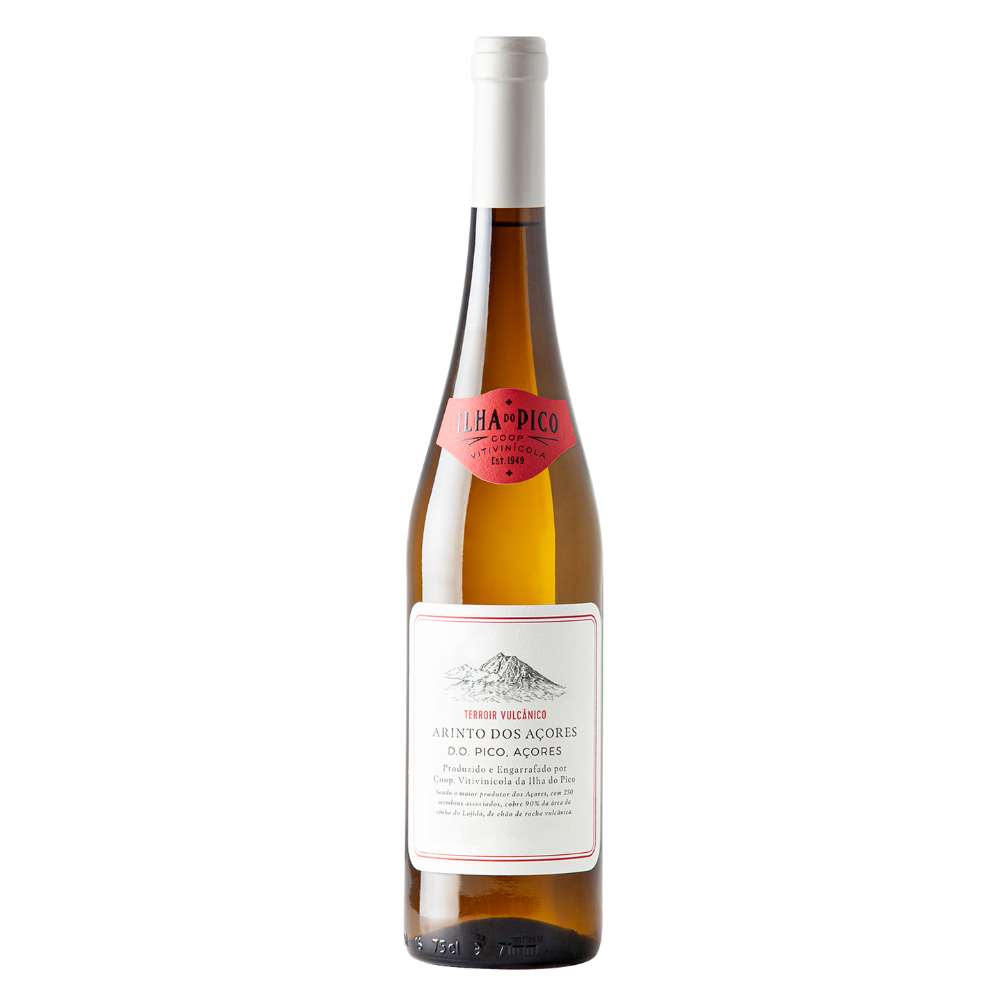 Cooperativa Vitivinicola Da Ilha Do Pico Arinto dos Açores 2020 Magnum