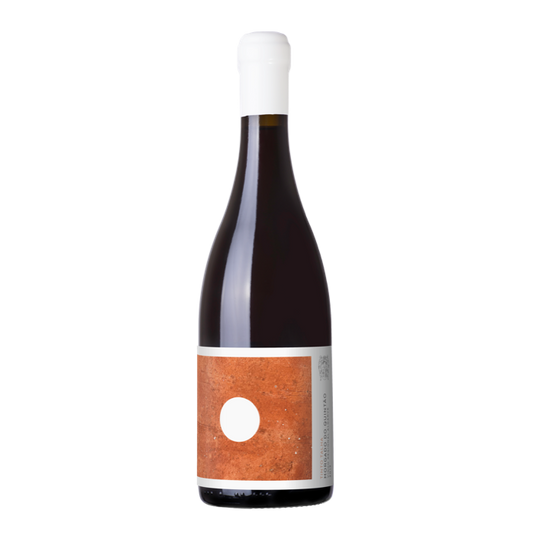 Morgado do Quintão Tinto de Ânfora 2020 Red
