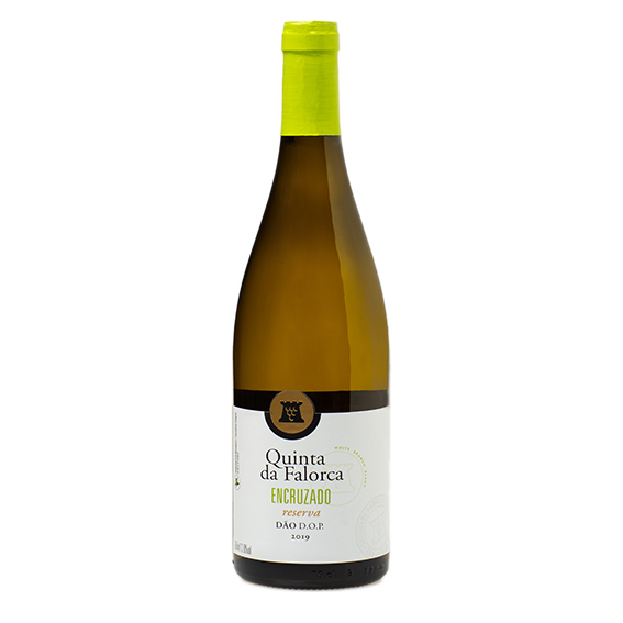 Quinta da Falorca Reserva Encruzado 2019 (Magnum) White