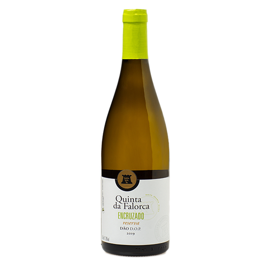 Quinta da Falorca Reserva Encruzado 2019 (Magnum) White