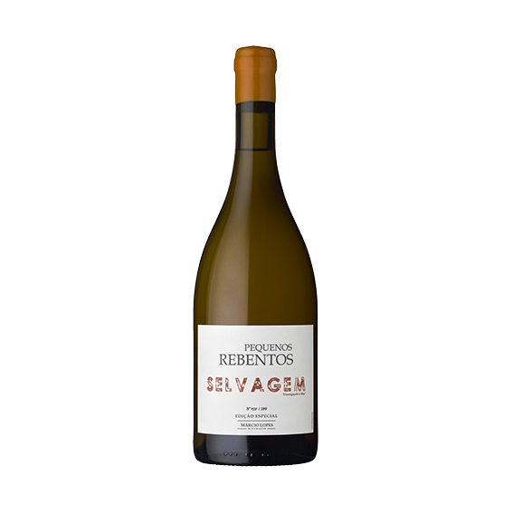 Márcio Lopes Pequenos Rebentos Selvagem 2019 White