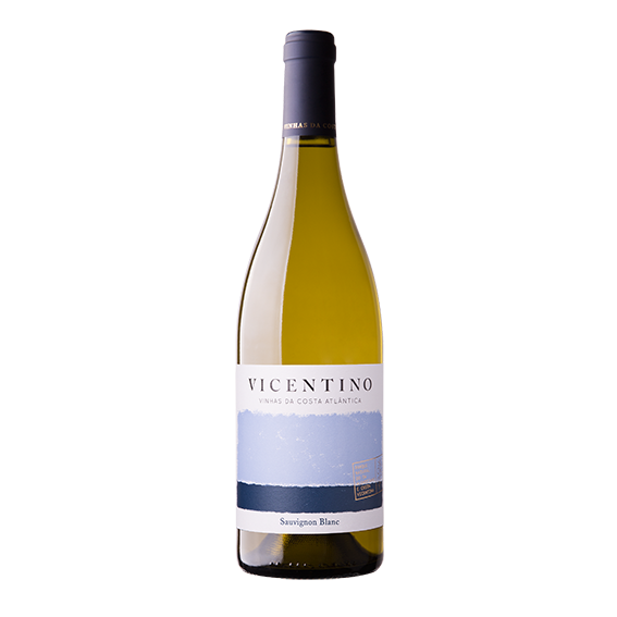 Vicentino Sauvignon Blanc 2018 Branco