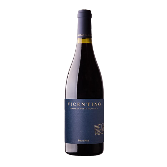 Vicentino Pinot Noir 2016 Red