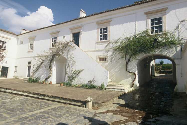 A poucos quilômetros de Estremoz, 27 hectares de vinhas unem castas autóctones e internacionais numa alquimia que dá vida a vinhos de extraordinária qualidade. https://outwine.com/collections/quinta-do-mouro
